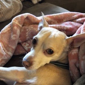 Meet your Posher, Renae